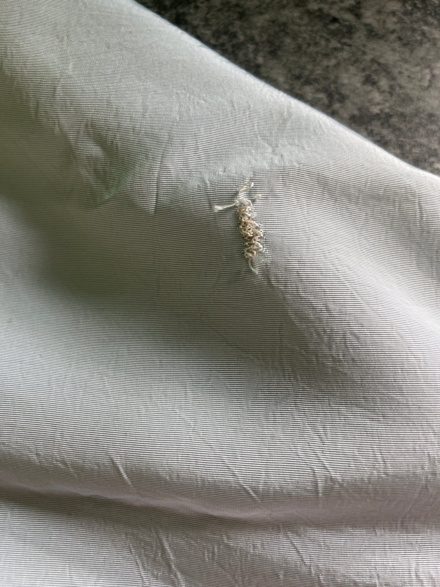 Cinderella Adult Ladies X-Small Costume - Preowned