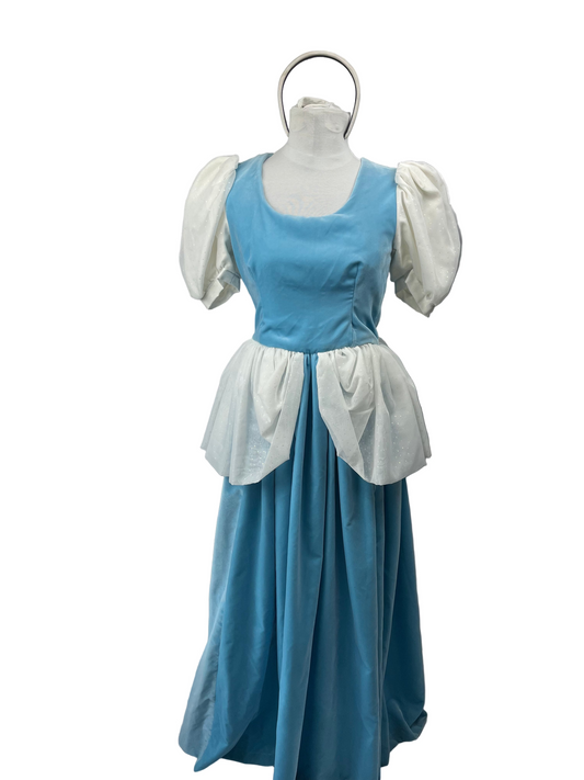 Cinderella Adult Ladies Small Costume - Preowned