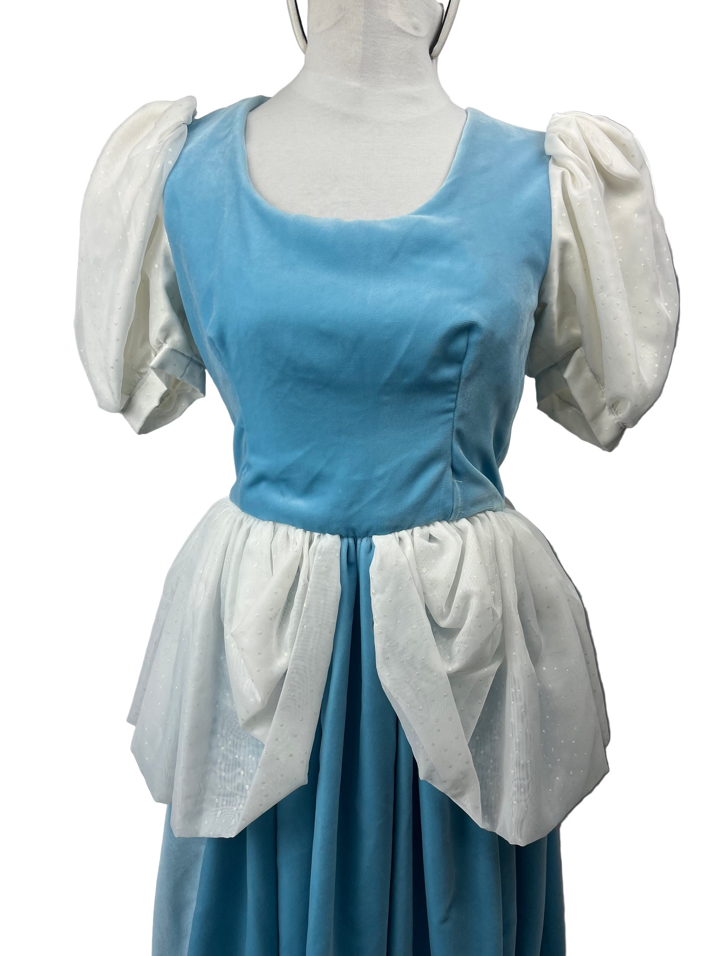 Cinderella Adult Ladies Small Costume - Preowned