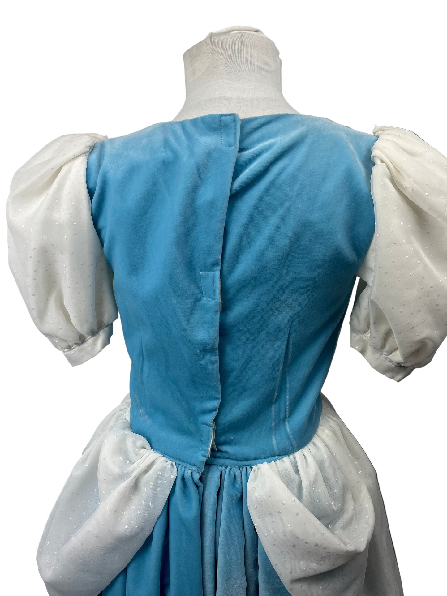 Cinderella Adult Ladies Small Costume - Preowned