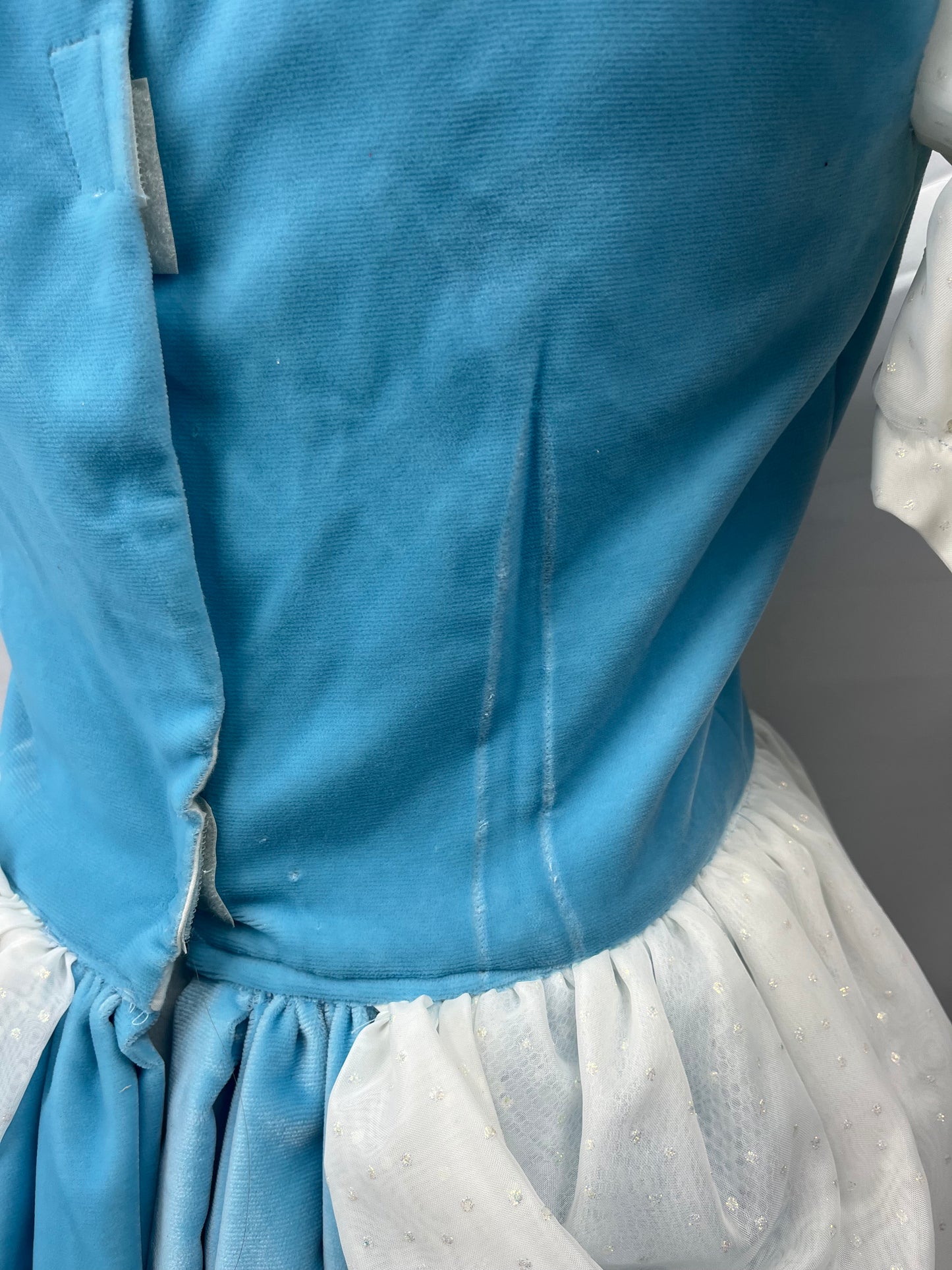 Cinderella Adult Ladies Small Costume - Preowned