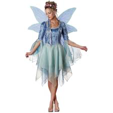 Woodland Fairy Adult Ladies Small Costume - Preowned