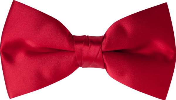 Formal Satin Bow Tie Red or White