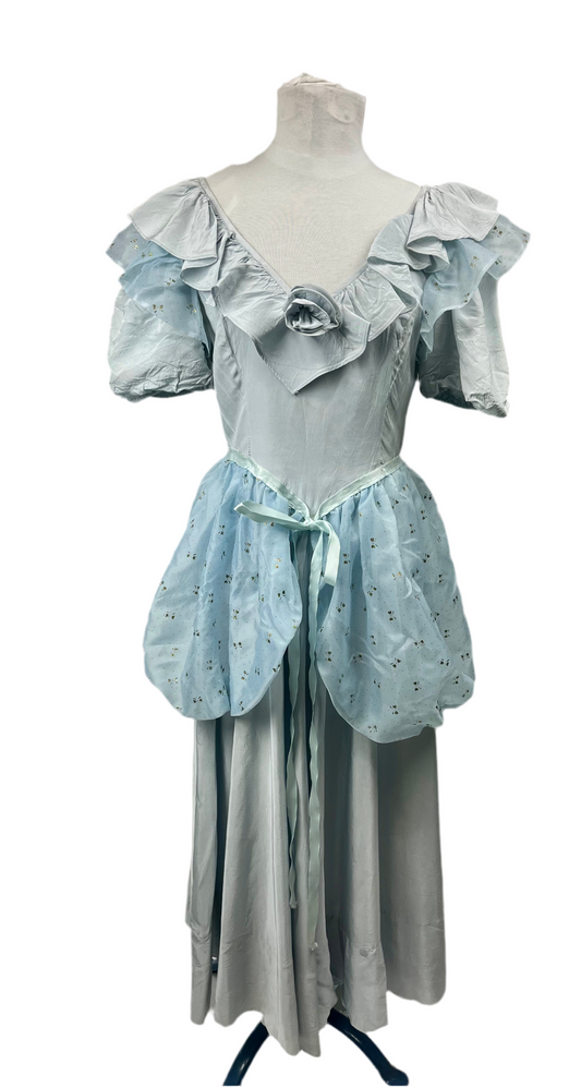 Cinderella Adult Ladies X-Small Costume - Preowned