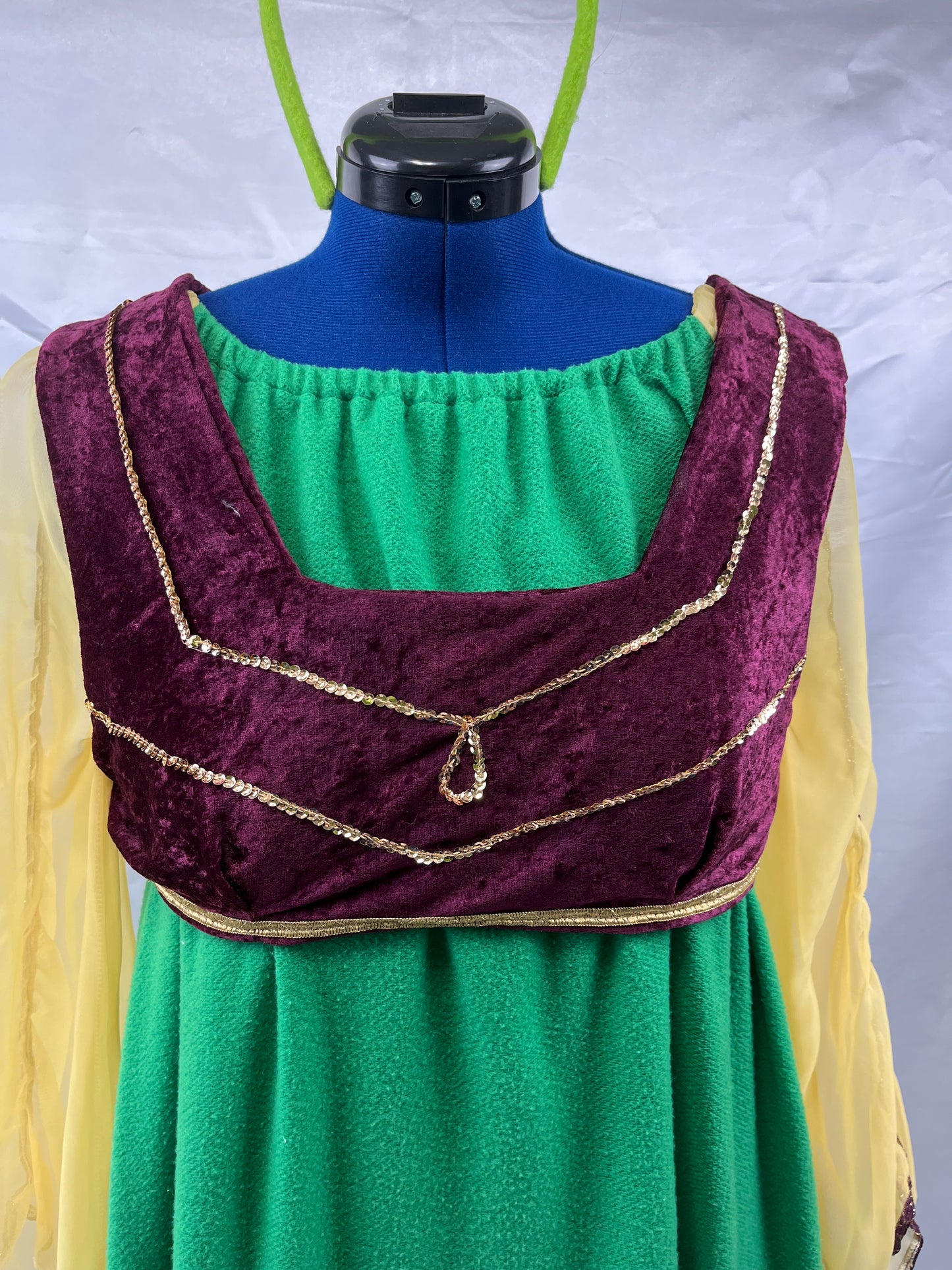 Fiona Shrek Adult Ladies Costume - Preowned