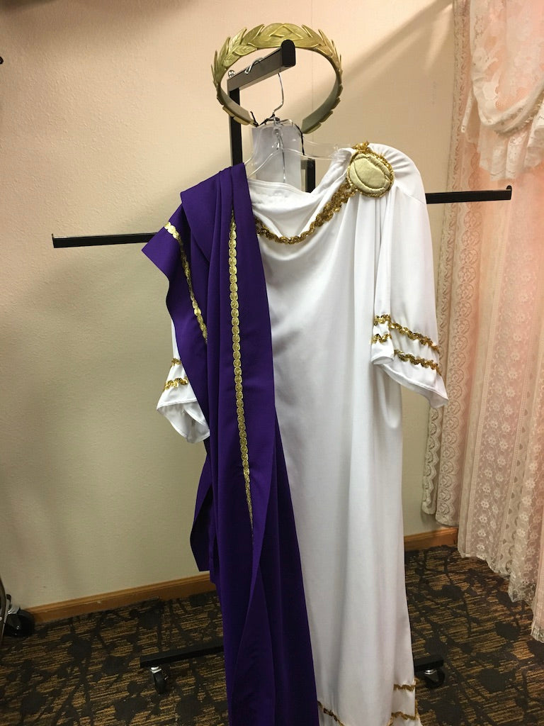 Roman Senator Men Size OS Costume