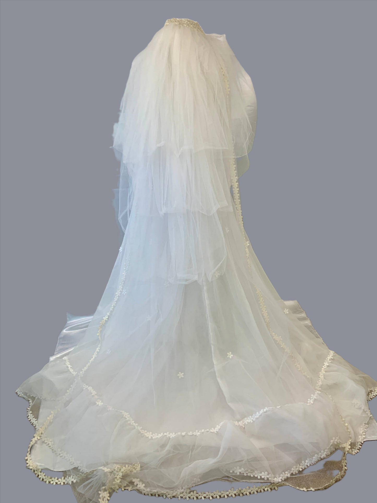 Wedding Dress & Veil, Long Sleeve, White Sheer w/Daisy small