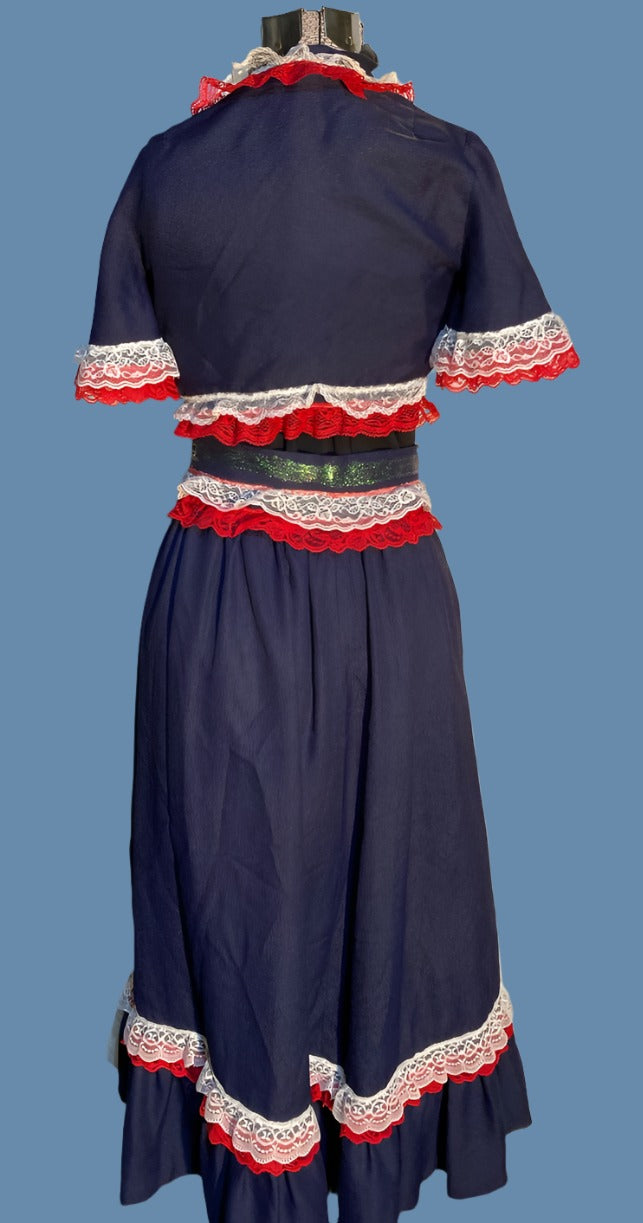 Patriotic Top & Skirt Adult Costume Dress Ladies