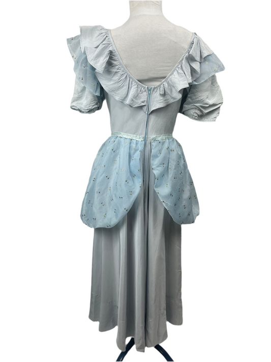 Cinderella Adult Ladies X-Small Costume - Preowned