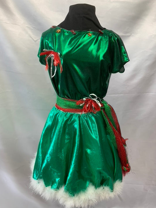 Elf Girl Holiday Costume Large Child