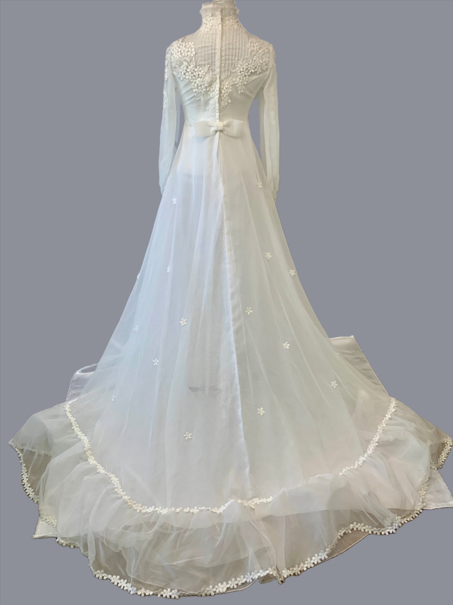 Wedding Dress & Veil, Long Sleeve, White Sheer w/Daisy small