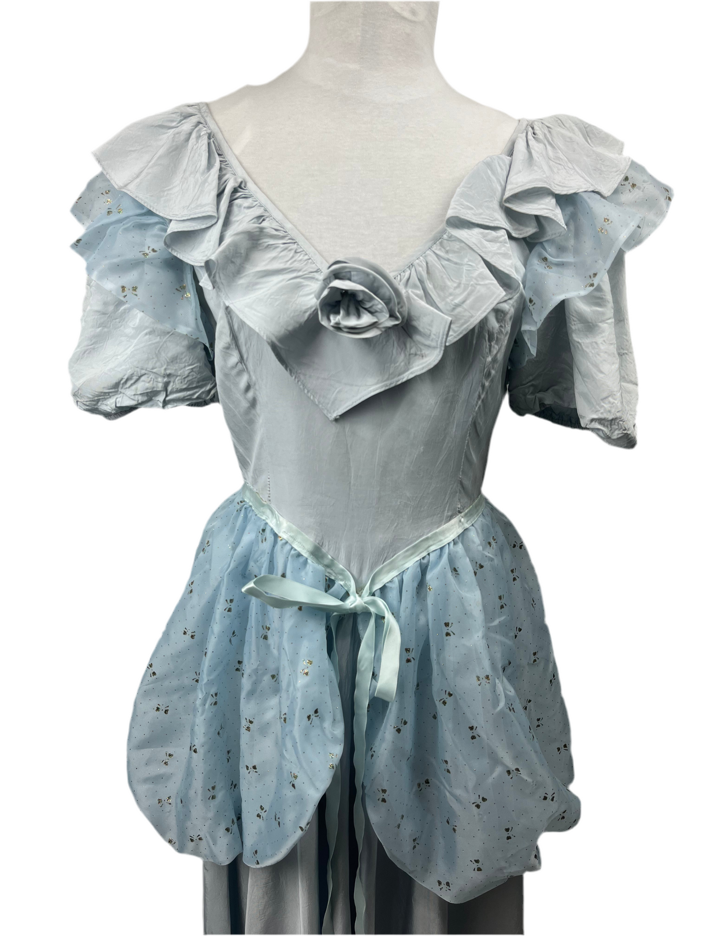 Cinderella Adult Ladies X-Small Costume - Preowned