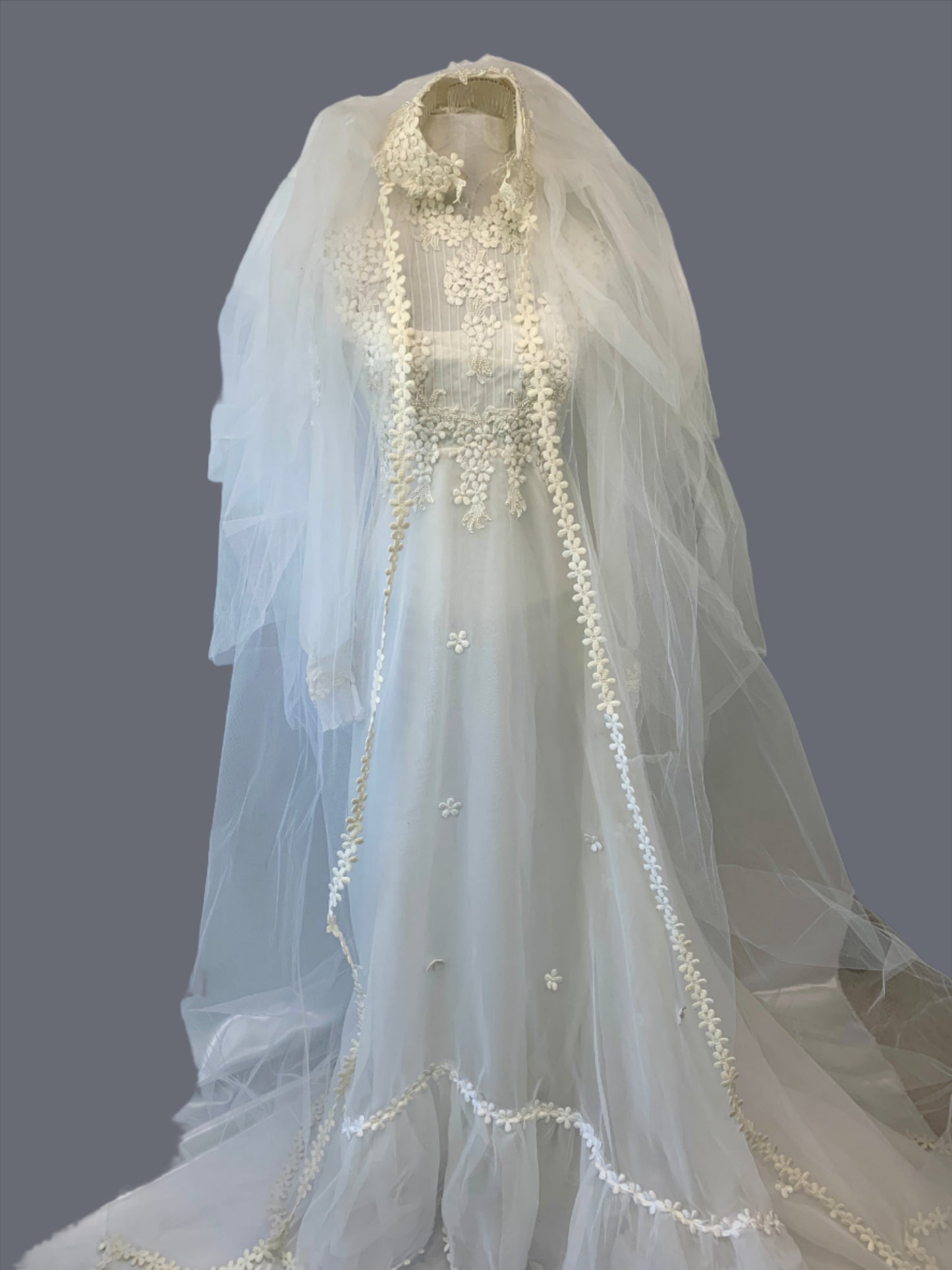 Wedding Dress & Veil, Long Sleeve, White Sheer w/Daisy small