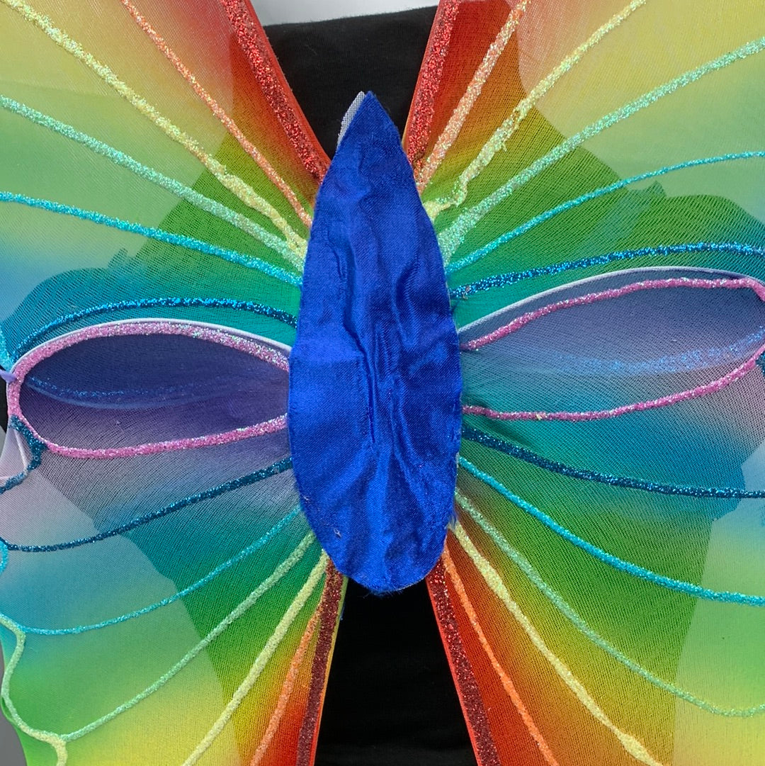 Rainbow Fairy Child Wings