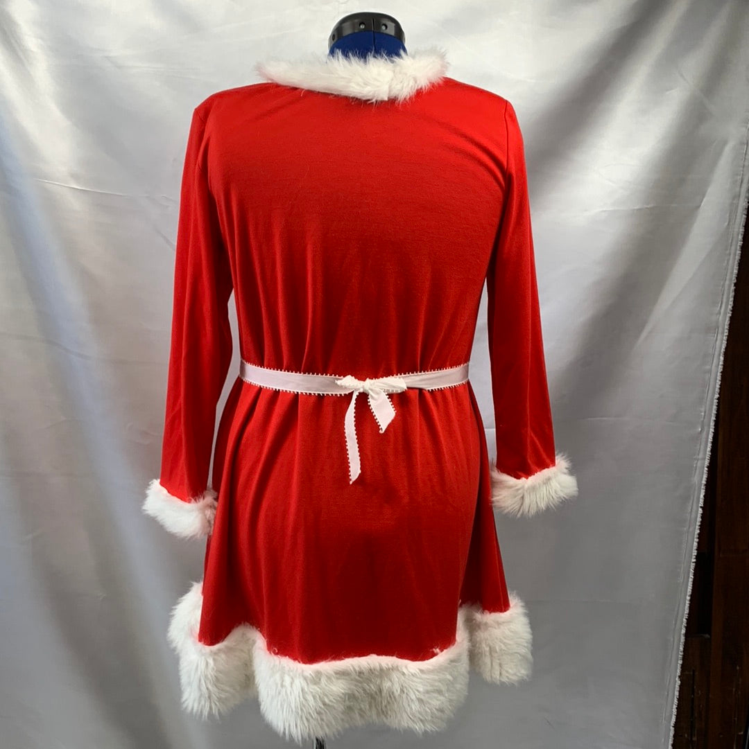 Mrs./Ms Claus Adult Women's Holiday Costume, Large, Long Sleeve