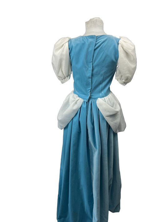Cinderella Adult Ladies Small Costume - Preowned