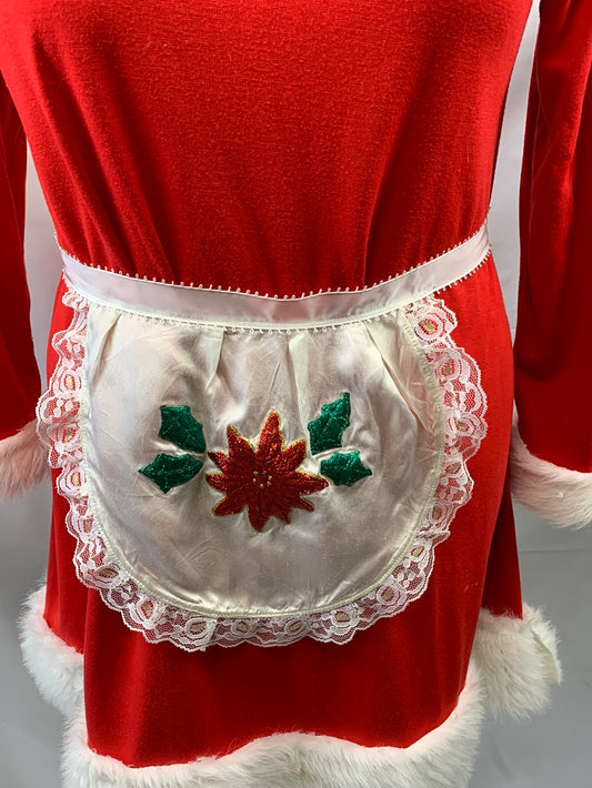 Mrs./Ms Claus Adult Women's Holiday Costume, Large, Long Sleeve