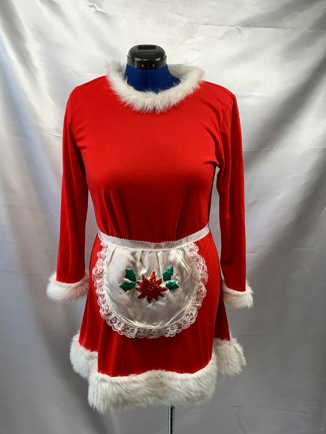 Mrs./Ms Claus Adult Women's Holiday Costume, Large, Long Sleeve