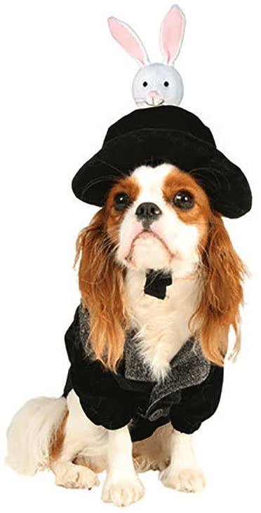 Hat Trick Magician Pet Costume Size Petite