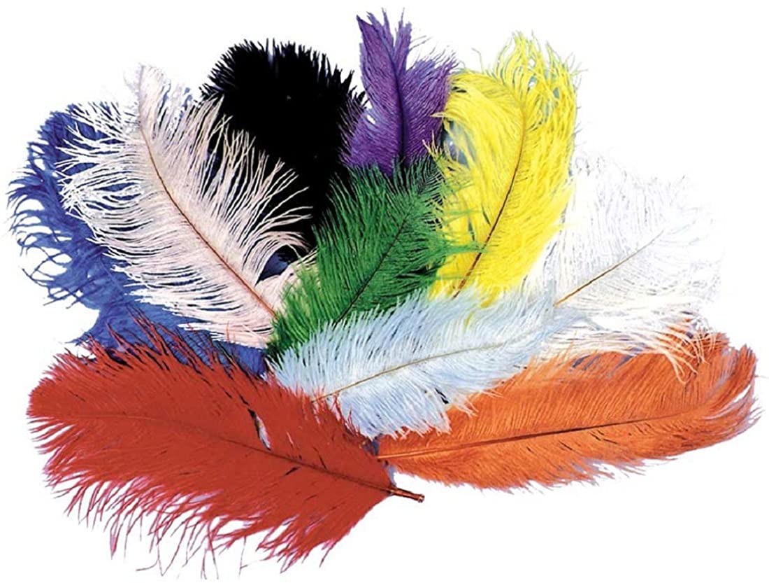 Costumes For All Occasions Novelty Plumes