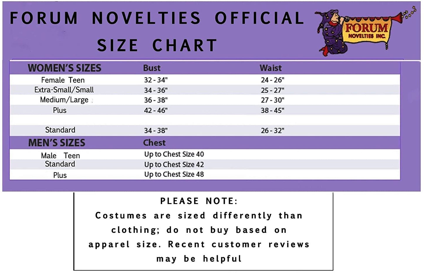 English Nanny Costume Size Women's Standard