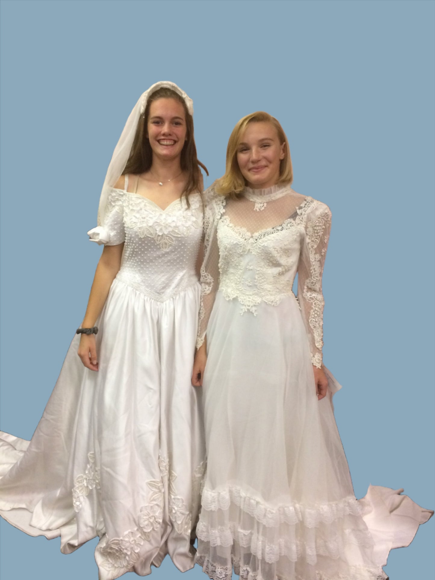 Wedding Dress & Veil - Long Sleeve, High Collar XS